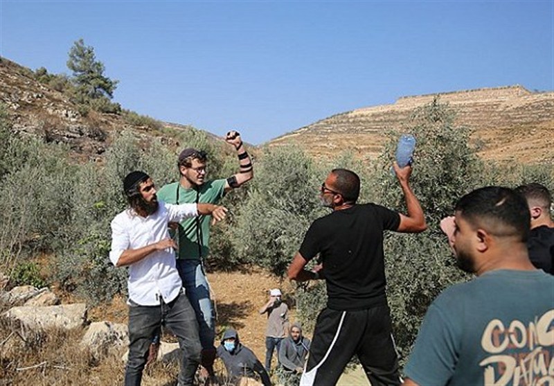 تصعيد استيطاني: المستوطنون يوسّعون اعتداءاتهم في بيت لحم والخليل والأغوار