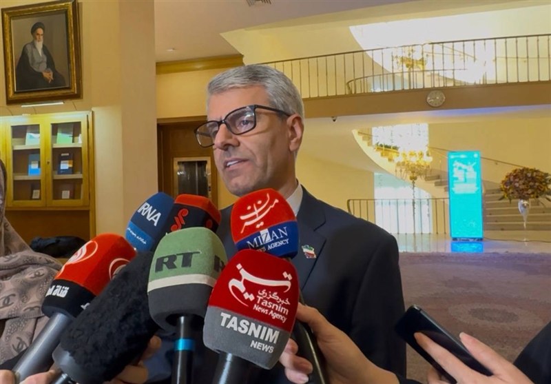 بقائي: أحداث حزيران الماضي تجعلنا نطالب الأمم المتحدة دوماً بتحمل مسؤولياتها