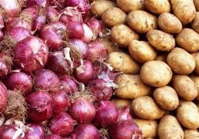 کمبودی در بازار میوه‌های ویژه شب یلدا وجود ندارد