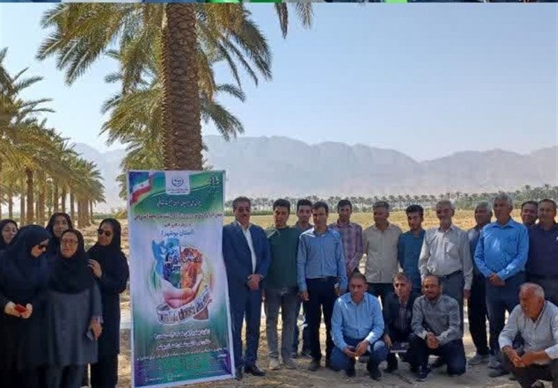 اعزام کاروان الگوی کشت ملی محصولات زراعی در بوشهر