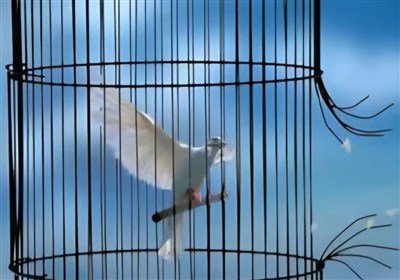 رهایی 12 زندانی محکوم به قصاص از  ندامتگاه مرکزی کرج