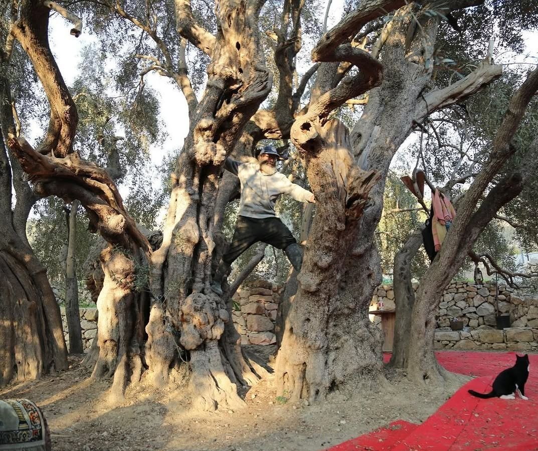 کشور فلسطین , کرانه باختری , بیت المقدس , شهرک سازی رژیم صهیونیستی اسرائیل , حضرت عیسی (ع)| عیسی مسیح , صهیونیسم , تشکیلات خودگردان فلسطین , 