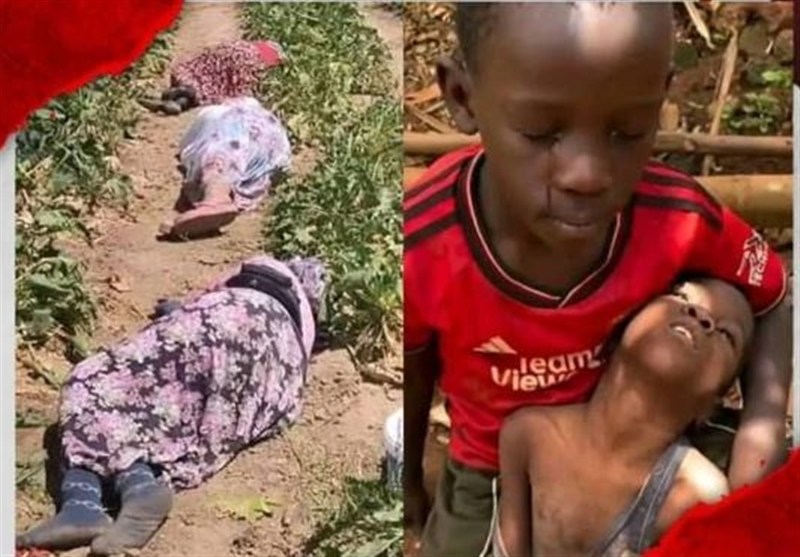 سازمان ملل خواستار انجام تحقیقات درباره جنایات در «فاشر» شد