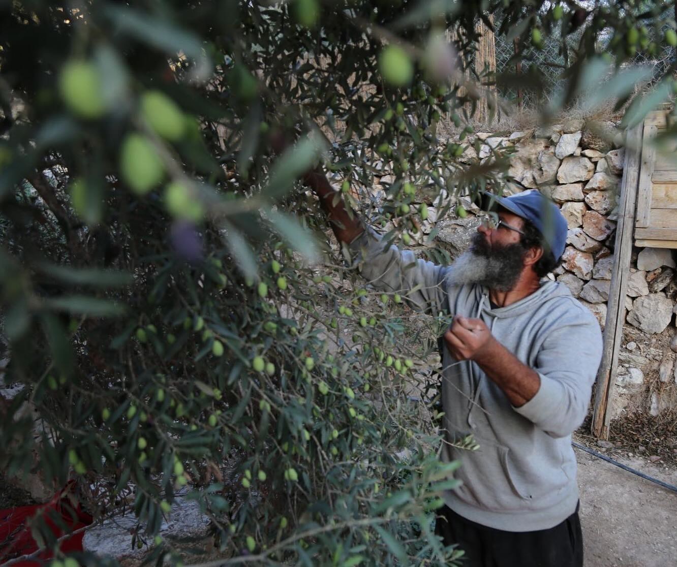 کشور فلسطین , کرانه باختری , بیت المقدس , شهرک سازی رژیم صهیونیستی اسرائیل , حضرت عیسی (ع)| عیسی مسیح , صهیونیسم , تشکیلات خودگردان فلسطین , 