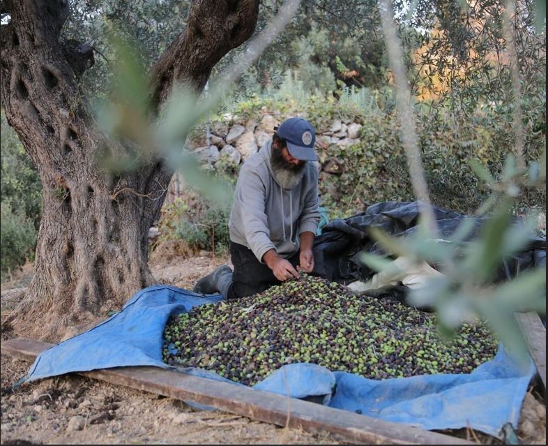 کشور فلسطین , کرانه باختری , بیت المقدس , شهرک سازی رژیم صهیونیستی اسرائیل , حضرت عیسی (ع)| عیسی مسیح , صهیونیسم , تشکیلات خودگردان فلسطین , 