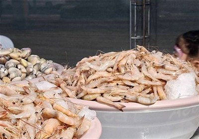 نخستین جشنواره میگو در درگهان؛ تجلی فرهنگ و پاسداشت تلاش‌های صیادان محلی