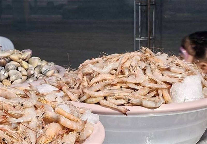 گام بلند هرمزگان برای توسعه صادرات میگو با استانداردسازی و کنترل بهداشتی