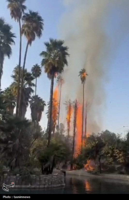 چشمه،بلقيس،آتش،كهگيلويه،بويراحمد،درختان،خسارت،گردشگري