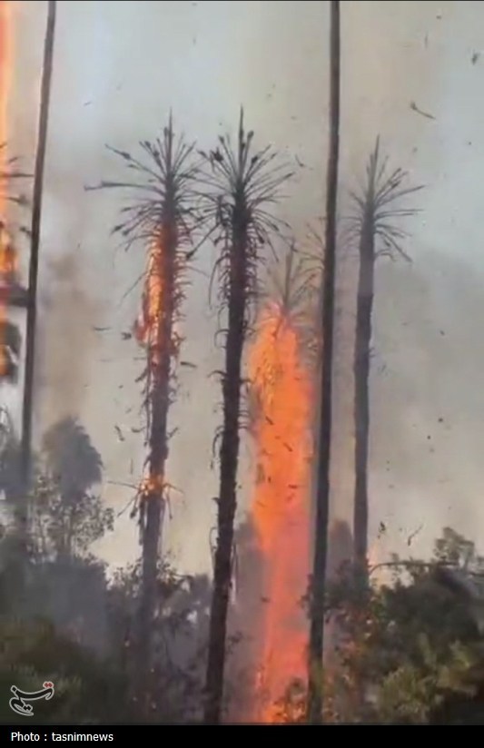 چشمه،بلقيس،آتش،كهگيلويه،بويراحمد،درختان،خسارت،گردشگري