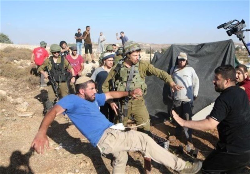 افزایش بی‌سابقه حملات شهرک‌نشینان اسرائیلی در فصل برداشت زیتون به کرانه باختری