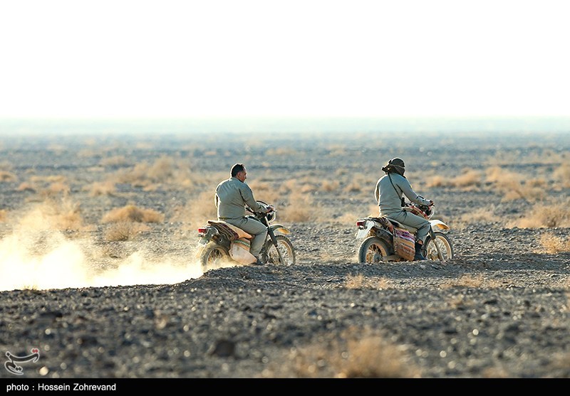 معجره در دل کویر | گورخر ایرانی از انقراض فرار کرد 4
