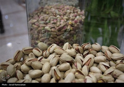 افتتاح پایانه ضبط و فرآوری پسته ابرکوه