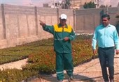 شهرداری کنگان به دنبال خودکفایی گلخانه‌ای و توسعه پایدار فضای سبز