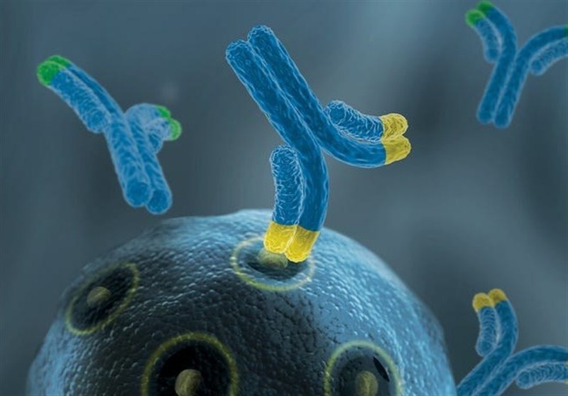 اخبار پزشکی | افراد "خوددلسوز" کمتر در معرض افسردگی هستند / معیشت، مهمترین دغدغه جراحان عمومی 5