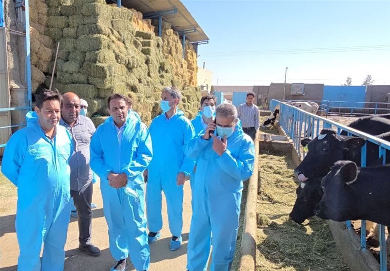 اخبار گناباد , خراسان رضوی , اخبار استان خراسان رضوی , اخبار مشهد , تب برفکی ,