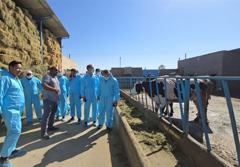 اخبار گناباد , خراسان رضوی , اخبار استان خراسان رضوی , اخبار مشهد , تب برفکی ,