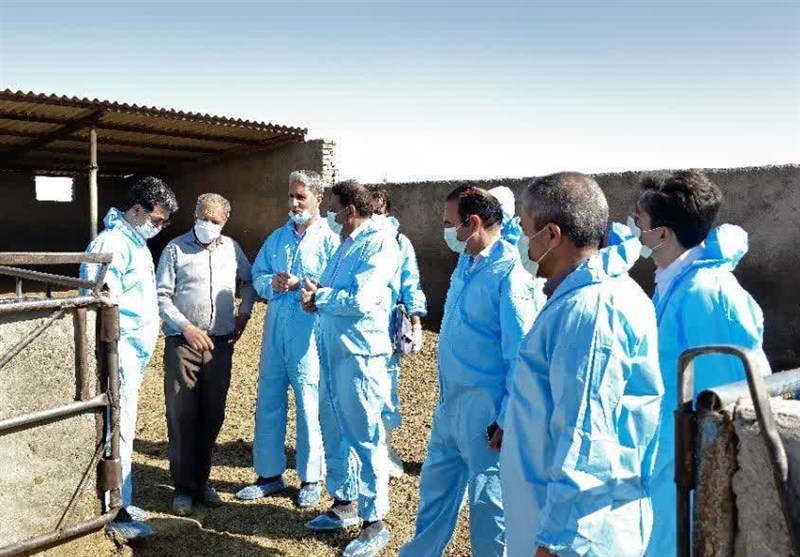 اخبار گناباد , خراسان رضوی , اخبار استان خراسان رضوی , اخبار مشهد , تب برفکی ,