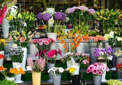 معرفی گل‌های ماه تولد + عکس