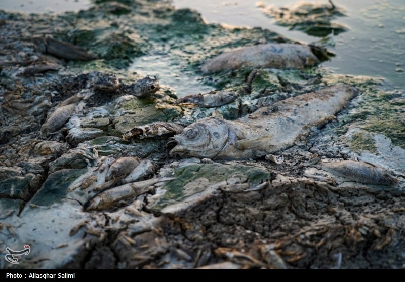 بحران آب , اخبار استان خراسان شمالی , اخبار بجنورد , 