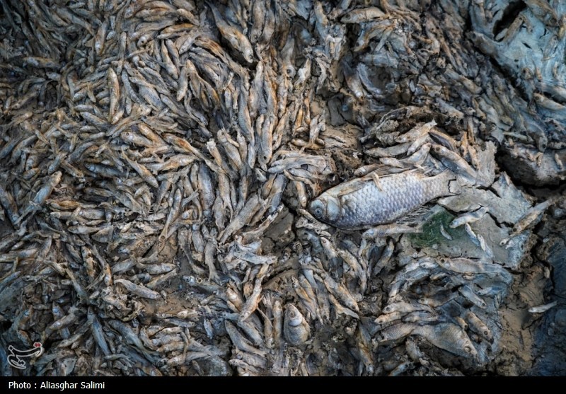 بحران آب , اخبار استان خراسان شمالی , اخبار بجنورد , 