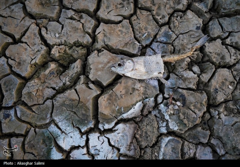 بحران آب , اخبار استان خراسان شمالی , اخبار بجنورد , 