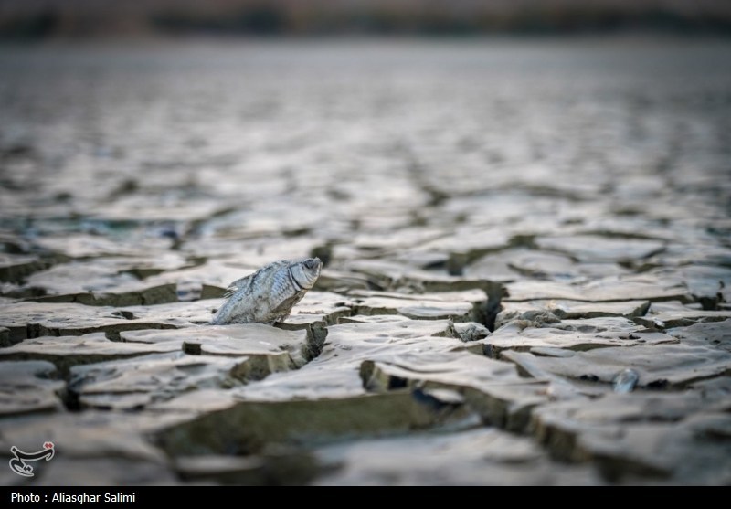 بحران آب , اخبار استان خراسان شمالی , اخبار بجنورد , 