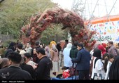 جشنواره طعم و رنگ پاییز در باغ گیاه شناسی مشهد