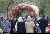 جشنواره طعم و رنگ پاییز در باغ گیاه شناسی مشهد
