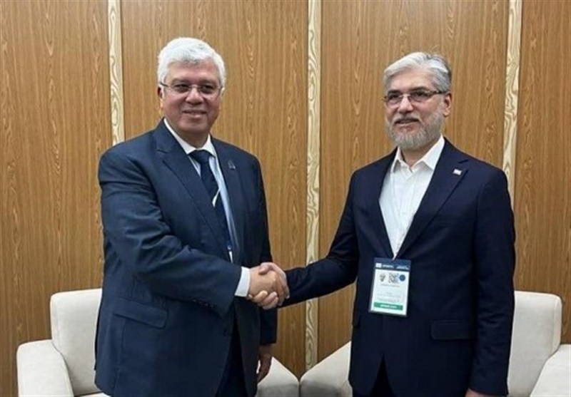 رایزنی علمی وزیر علوم با وزرای مصر و نیجریه