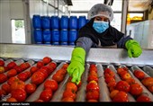 تولید رب گوجه فرنگی با صنایع تبدیلی