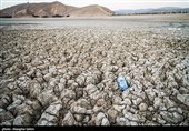 مرگ  هزاران ماهی‌ در بند عبدل‌آباد بجنورد