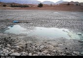 مرگ  هزاران ماهی‌ در بند عبدل‌آباد بجنورد
