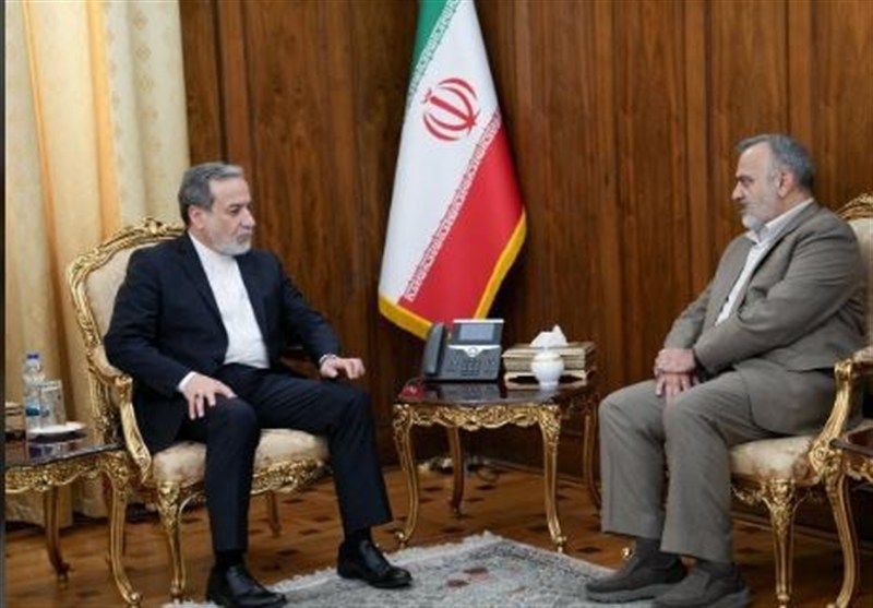 دیدار عراقچی با رئیس سازمان حج و زیارت