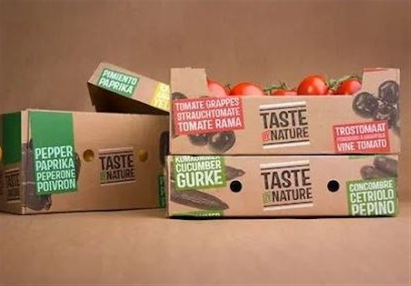 وقتی بسته‌بندی ضعیف بازارهای جهانی را از محصولات ایران می‌گیرد/ صادرات بی‌جعبه!