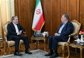 Araqchi Highlights Foreign Ministry’s Push to Facilitate Iran’s Foreign Business