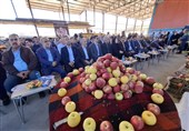 برگزاری آیین شکرگزاری و جشنواره سیب در بروجرد
