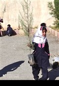 پویش مردمی درختکاری به مناسبت روز دانش‌آموز در مدارس لرستان