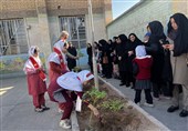 پویش مردمی درختکاری به مناسبت روز دانش‌آموز در مدارس لرستان