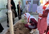 پویش مردمی درختکاری به مناسبت روز دانش‌آموز در مدارس لرستان