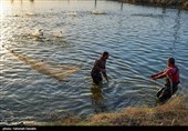 تولید برای محرومیت زدایی / پرورش ماهی