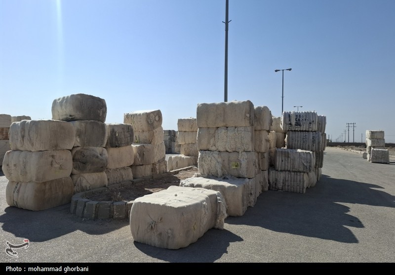 صنایع نساجی , اخبار فردوس , اخبار استان خراسان جنوبی ,