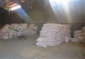 کشف 180 تن گندم، جو و پیاز احتکار شده در گرمی