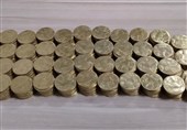 کشف کوله پشتی با 432 سکه تقلبی در داورزن