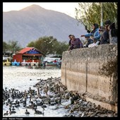 زندگی روزمره - کردستان