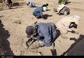 هر کاوش در ری گامی در احیای هویت تاریخی ایران است