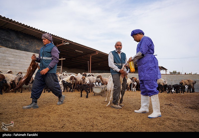 همه با هم برای پیشرفت و آبادانی