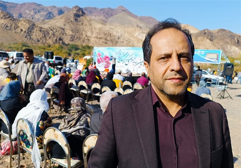 کشت انار در 156 هکتار از باغات اردبیل/برداشت انار در اردبیل آغاز شد