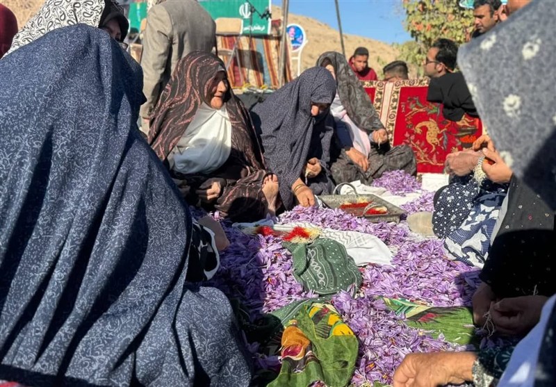 اخبار فردوس , اخبار استان خراسان جنوبی ,