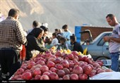 برگزاری دومین جشنواره انار نمهیل خلخال با استقبال پرشور