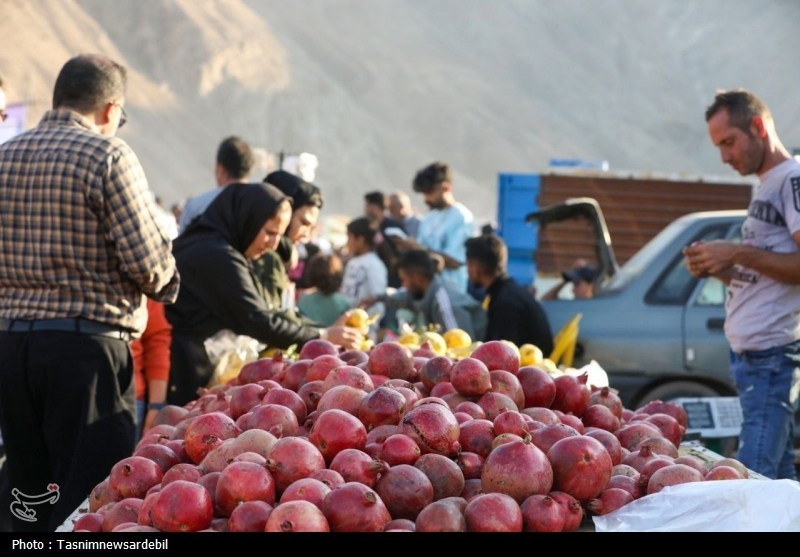 خودنمایی صد دانه‌هایی که در دل خاک‌های نمناک فاروق بیرون می‌زنند